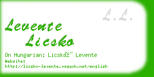 levente licsko business card